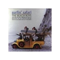 The Beach Boys Surfin'...