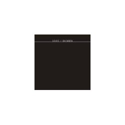 Doves Snowden PROMO CDS