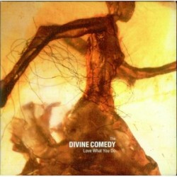 Divine Comedy love what you...