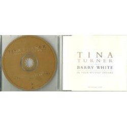 Tina Turner Featuring Barry...