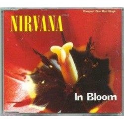 Nirvana In Bloom CDS