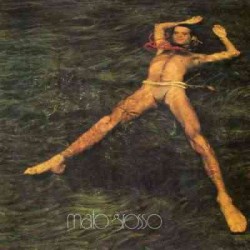 Ney Matogrosso Mato Grosso LP