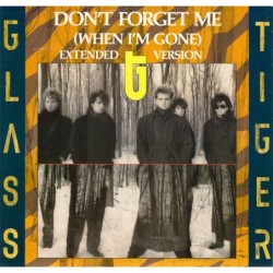 Glass Tiger Don't Forget Me...