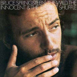 Bruce Springsteen The Wild...