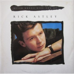 Rick Astley Never Gonna...