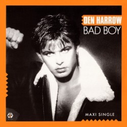 Den Harrow Bad Boy 12"