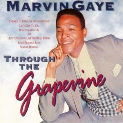 Marvin Gaye Through The...