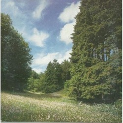 Manic Street Preachers A...