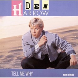 Den Harrow Tell Me Why 12"