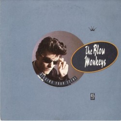 The Blow Monkeys Digging...
