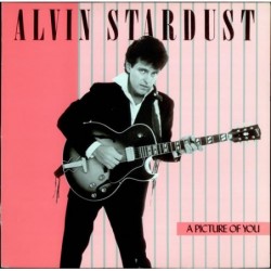 Alvin Stardust A Picture Of...
