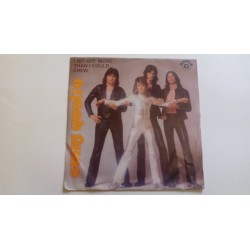 Suzi Quatro I Bit Off More...