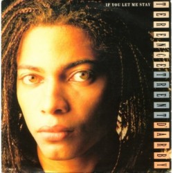 Terence Trent D'Arby If You...