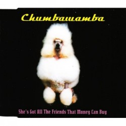 Chumbawamba She's Got All...