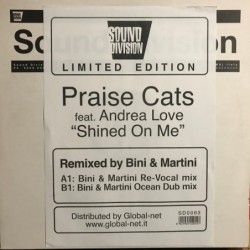Praise Cats Shined On Me 12"