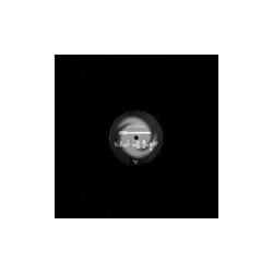 Ringolevio Were Living 12"