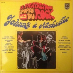 Johnny Hallyday Johnny...