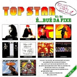 Various Top Star 93/94 LP