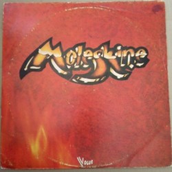 Moleskine Moleskine LP