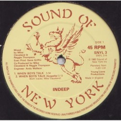 Indeep When Boys Talk 12"