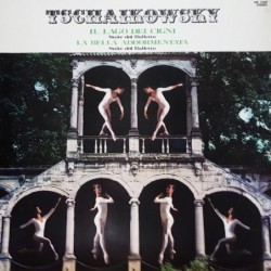 Pyotr Ilyich Tchaikovsky...