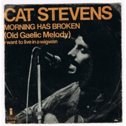Cat Stevens Morning Has...