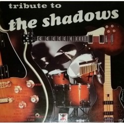 Unknown Artist Tribute To...